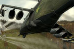 Screenshot of ARMA II