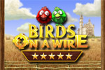 Can you resist the birds' infused laughter and charm?
