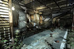 Screenshot of Darkfall: Lost Souls