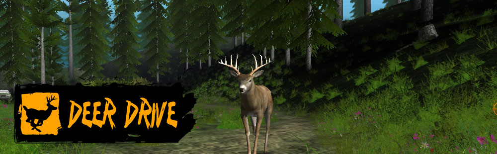 Deer Drive