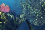 Screenshot of Depth Hunter