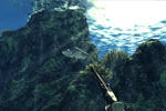 Screenshot of Depth Hunter