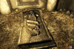 Screenshot of Dracula Series Part 2: The Myth of the Vampire