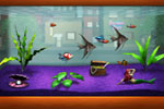 Screenshot of FishCo