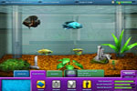 Screenshot of FishCo