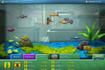 Screenshot of FishCo