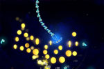 Screenshot of Glowfish
