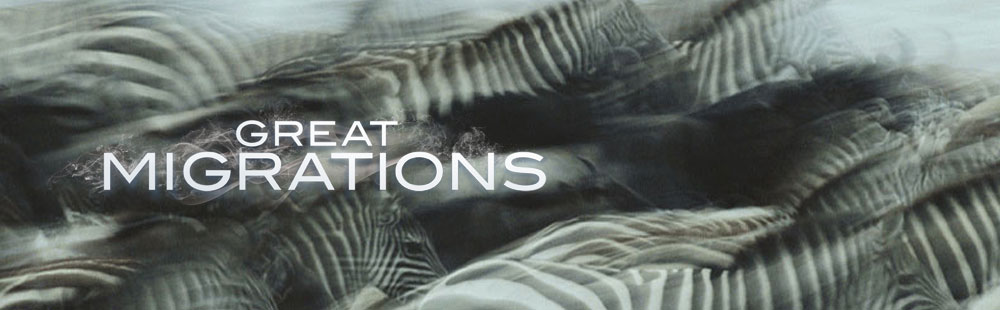 Great Migrations
