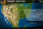 Screenshot of Great Migrations