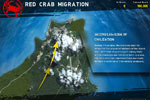 Screenshot of Great Migrations