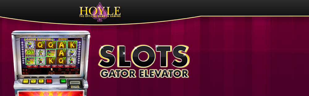 Hoyle Gator Elevator