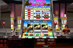 Screenshot of Hoyle Slots 2011