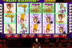 Screenshot of Hoyle Wacky Makeovers