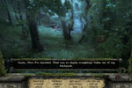 Screenshot of Immortal Lovers
