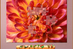 Screenshot of Jigsaw World