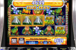 Screenshot of Jungle Wild