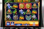 Screenshot of Jungle Wild