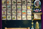Screenshot of Lost Fortunes