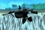 Screenshot of Marine Park Empire