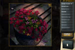 Screenshot of Masquerade Mysteries - Case of the Copycat Curator