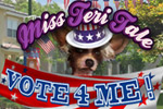Miss Teri Tale - Vote 4 Me dives into secrets & politics in Peeking Town!