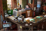 Screenshot of Mystery Agency: Secrets of the Orient