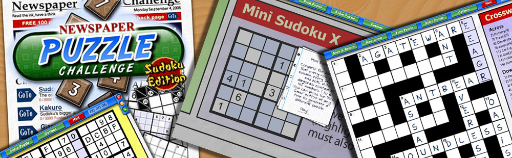 Newspaper Puzzle Challenge