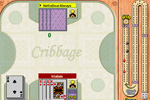 Screenshot of Cribbage on Pogo