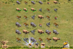Screenshot of Project Rescue: Africa!