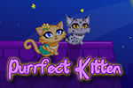 It's feline fashion at its finest!  Customize your cat any way you please!  Boy or girl?  Cape or necklace?  Design your Purrfect Kitten today!