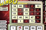 Screenshot of Slingo Deluxe