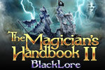 Stop the magical pirate BlackLore in The Magician's Handbook 2!