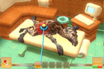 Screenshot of Wildlife Camp