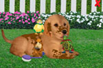 Screenshot of Wonder Pets! Save the Puppy