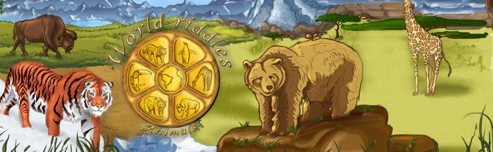 World Riddles: Animals