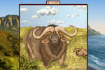 Screenshot of World Riddles: Animals