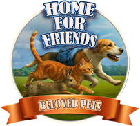 Home for Friends: Beloved Pets